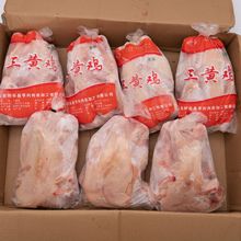 整鸡新鲜实惠9.5kg/箱三黄鸡老母鸡西装鸡现杀土鸡童子鸡炸鸡原料