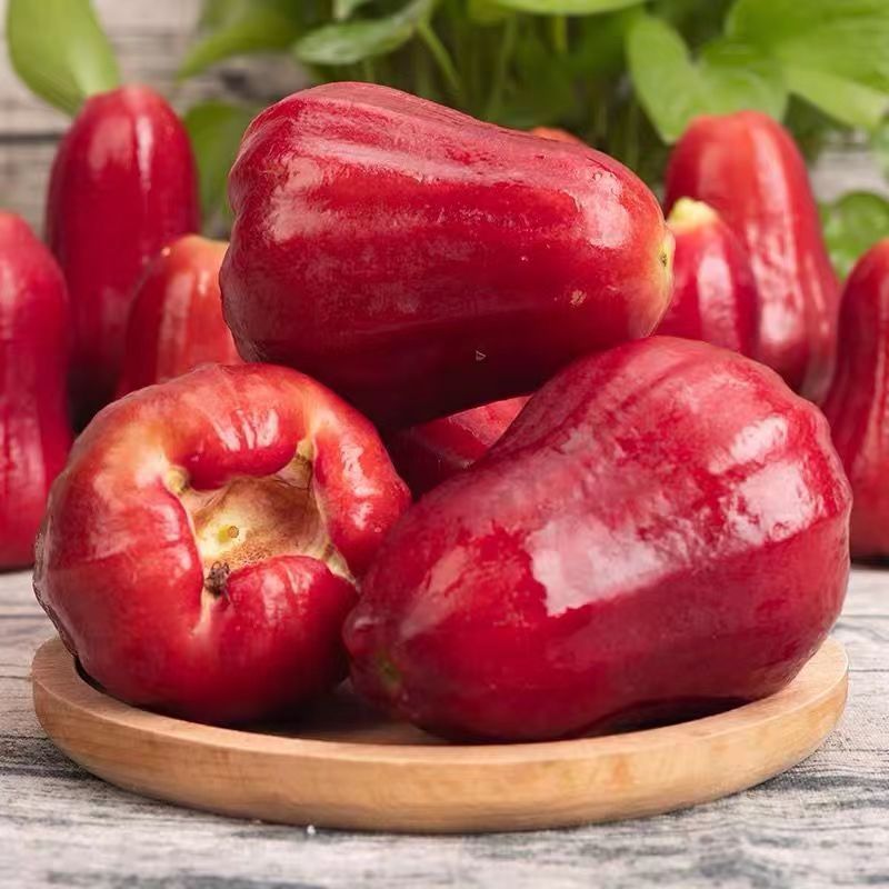 莲雾海南三亚当季黑金刚现摘仙女补水果新鲜水果整箱包邮批发代发