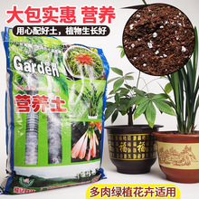 营养土有机花泥土花土壤种植绿萝兰花多肉植物专用泥土盆栽通用型