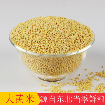 东北大黄米批发黏糕米去壳新黍子米25kg包粽子米大颗粒粘黄米