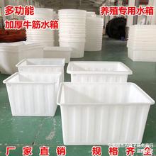 牛筋加厚长方形塑料水箱养鱼箱水产养殖箱螃蟹箱大号纺织箱周转箱