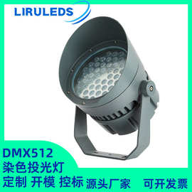 LED全彩RGBW文旅亮化芯龙泛光灯 DMX512染色山体氛围72W投光灯