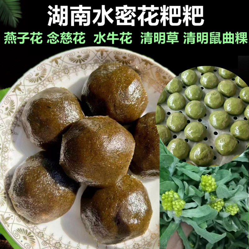湖南新宁特产燕子花佛耳草水牛花念慈花清明鼠曲艾草 