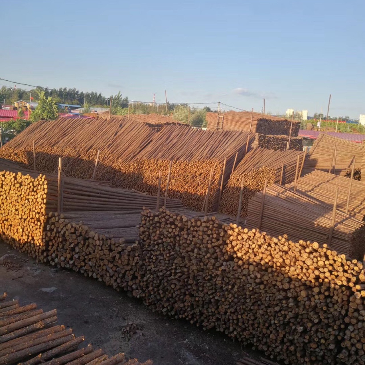 杉木杆竹竿 园林绿化支撑杆 高压线防护 天津 张家口雄安新区