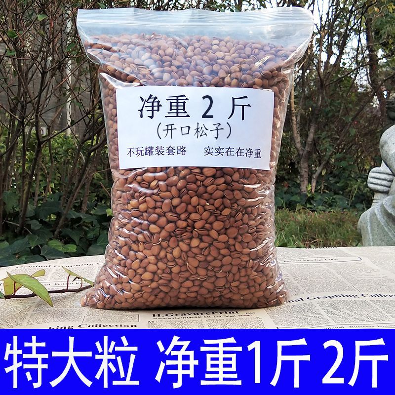 手剥云南松子开口松子大颗粒东北 500g 特大号250g2斤炒熟组合装