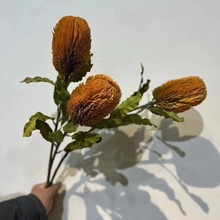 含阳花语仿真花秋色春色花材班克木佛塔花客厅插花装饰诧寂风轻奢