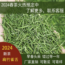 2024年新茶绿茶散装茶叶批发扁竹雀舌早春明前头采竹叶型青色茶叶