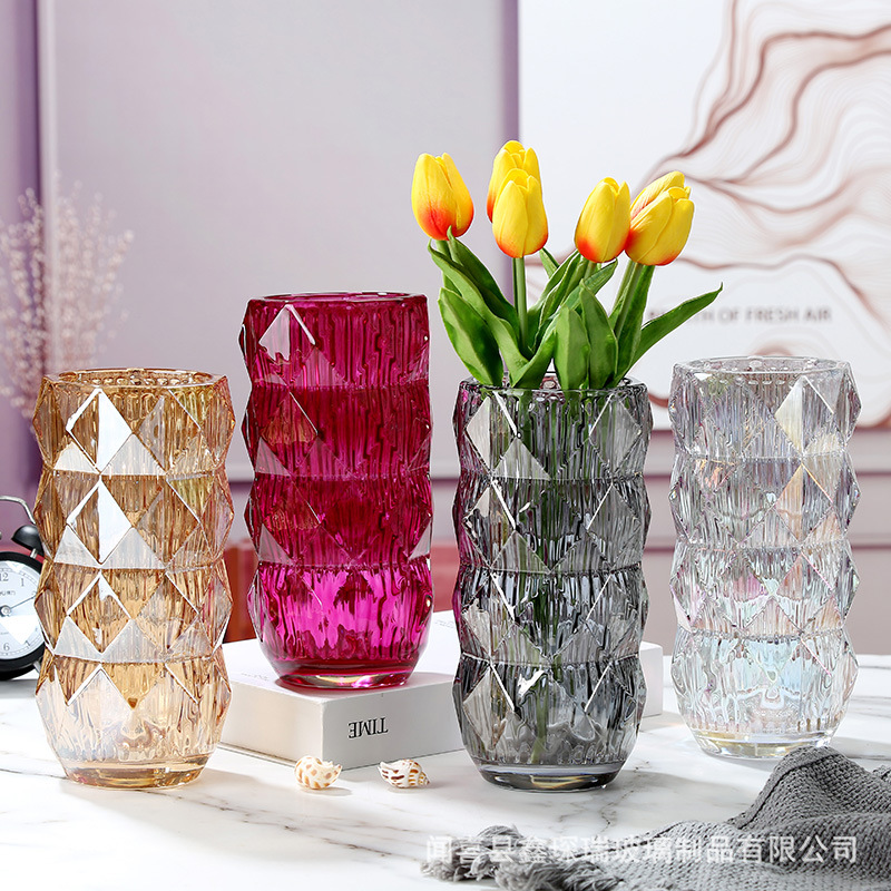 鑫琛圆形璀璨圆柱形玻璃花瓶摆件客厅插花透明客厅餐桌插花花器