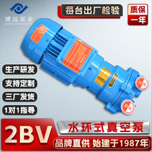 博远泵业2BV5110/11/21/31/61水环式真空泵直联耐腐蚀工业真空泵