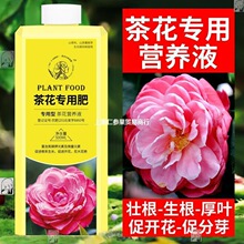 茶花营养液茶花肥料专用肥茶花树栀子花杜鹃花茉莉花花肥酸性肥料