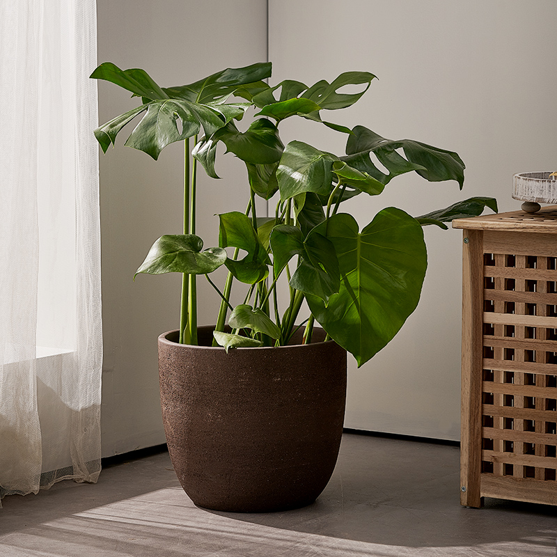 大号紫砂透气花盆绿植盆栽户外庭院园林客厅大口径粗陶罐清仓特新