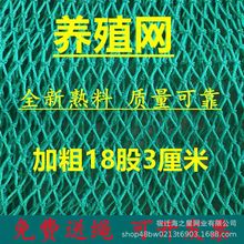 养殖网防鸟网渔网养鸡网家禽养殖网爬藤网菜园围网果园网护栏天网