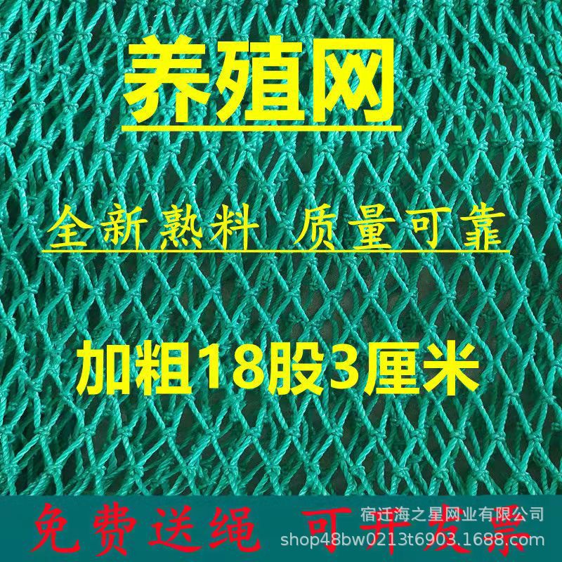 养殖网防鸟网渔网养鸡网家禽养殖网爬藤网菜园围网果园网护栏天网