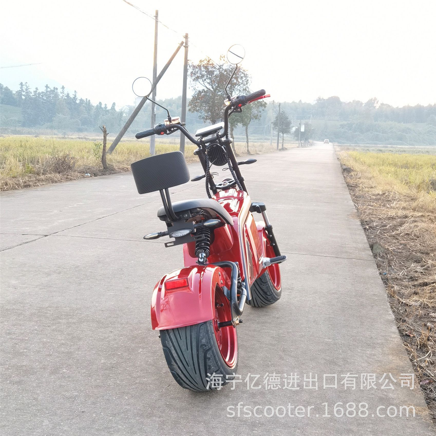 厂家直销大小锂电池哈雷电动摩托车助力电瓶车两轮宽轮胎-阿里巴巴