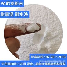 PA尼龙热熔胶粉末 耐高温耐水洗共聚酰胺 烫钻烫画绣花徽章用PA粉