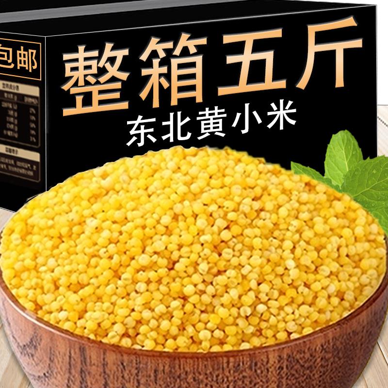 黄小米5斤新米金谷小黄米黄米粥食糯小米粥农家自产五谷杂粮粗粮