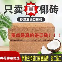 椰砖土养花阳台种菜绿植通用型土大块椰砖批发