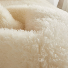 W6RT羊毛床垫冬季家用加厚保暖羊羔绒被褥铺底秋冬加绒毛毯床铺垫