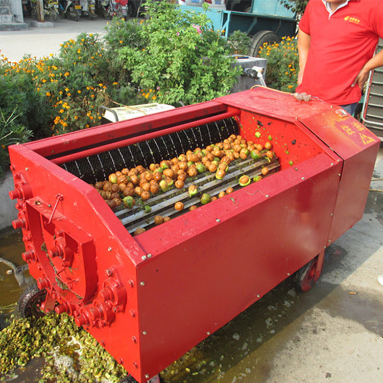 核桃去皮清洗机 青皮核桃剥壳机 省水省力脱皮机