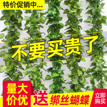 迪仕凯仿真藤条葡萄叶装饰假花藤蔓管道缠绕绿植吊顶树叶塑料爬山