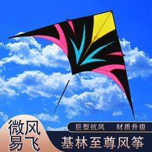 潍坊基林风筝3平伞布碳杆微风易飞大型大特大大人