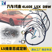 4L60E LS LS3 Drive by wire DBW 03-07 发动机线束ebay 生产厂家