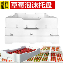 草莓泡沫托盘水蜜桃中转冷链芒果箱葡萄打包箱番茄水果托盘包装箱