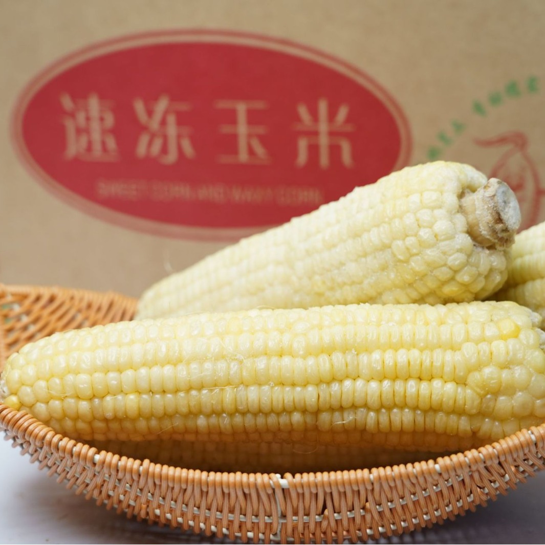 新鲜速冻即食东北速冻白玉米厂家批发速冻白玉米批发-阿里巴巴