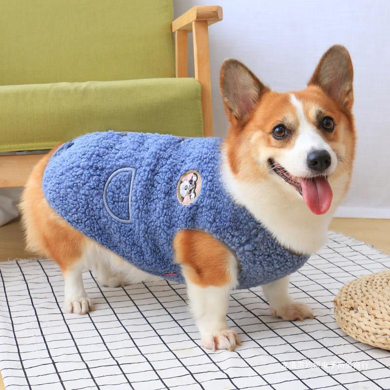 狗狗衣服冬装宠物春秋款幼犬韩版秋装中型犬网红秋冬马甲柯基泰迪