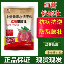 红薯高产专用叶面肥膨大控旺增产营养抗病防裂皮美果膨大素膨大剂