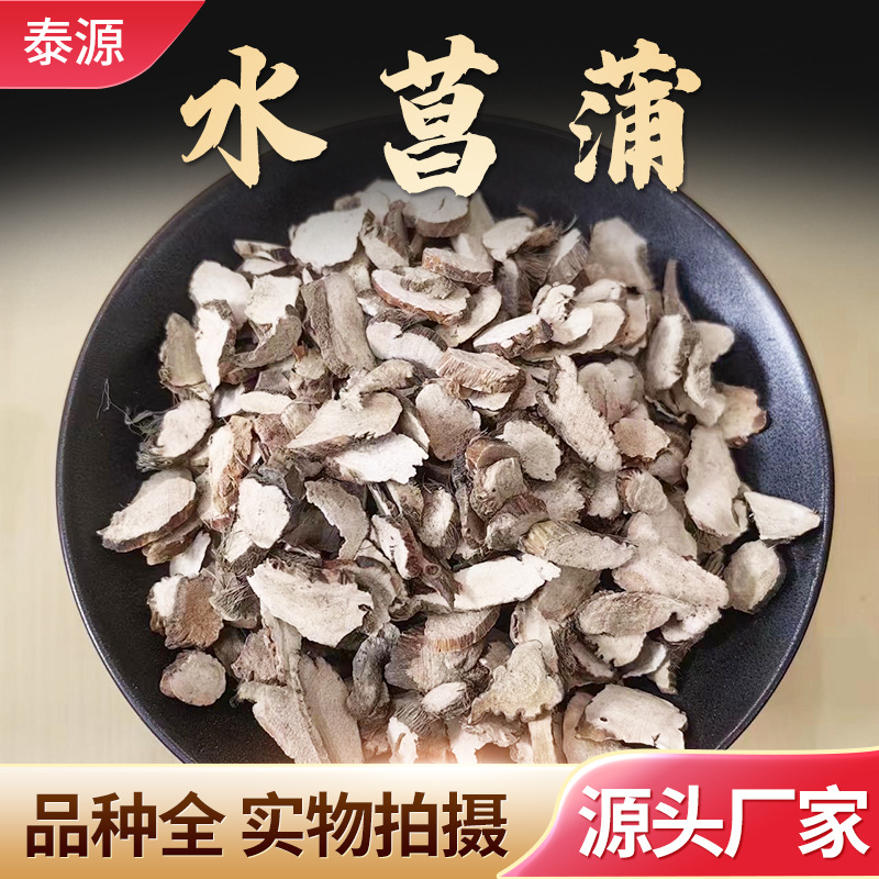 批发现货 石菖蒲 水菖蒲 优质无硫 中药材实体店经营 一件代发货