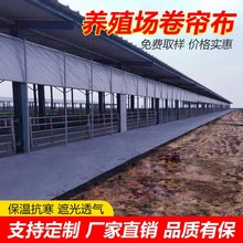 供应加厚猪养殖场卷帘布牛舍卷帘保温鸡栏用帆布卷帘畜牧羊圈窗帘