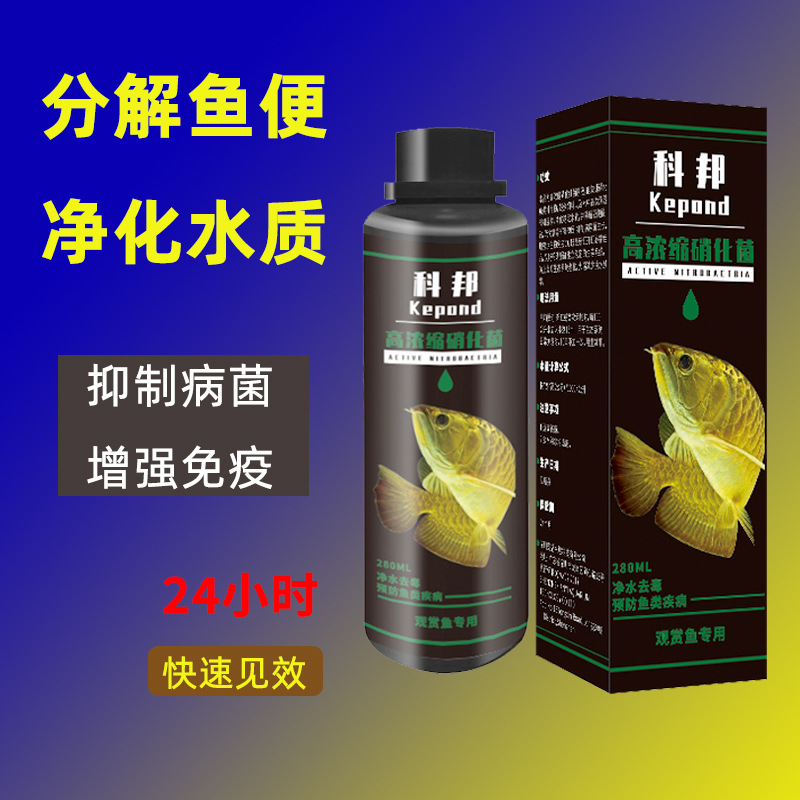 工厂批发观赏鱼水族鱼药鱼缸净水剂水族硝化细菌海水硝化细菌药水