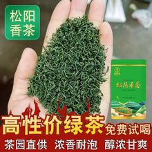 【绿净春】2023年新茶明前松阳香茶炒青绿茶浓香型板栗香特产茶叶