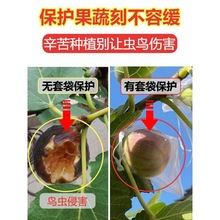 水果套袋防鸟防虫专用网袋葡萄无花果枇杷芒果苹果袋草莓保护袋子