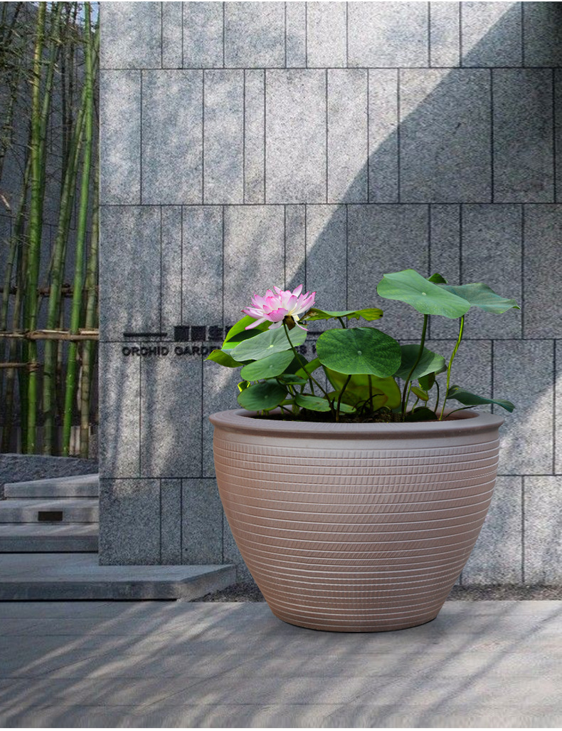 碗莲盆睡莲盆缸荷花花盆缸特大号陶瓷水缸种树大花盆庭院室外清仓