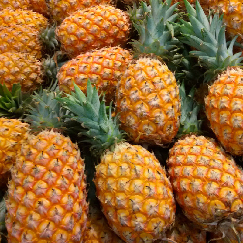 香水大菠萝新鲜大果菠萝小菠萝水果5/8斤/10斤非凤梨休闲食品批发
