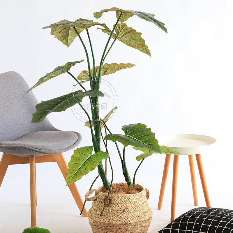 北欧大型热带雨林绿植彩虹芋喜林芋仿真植物盆景绿植盆栽