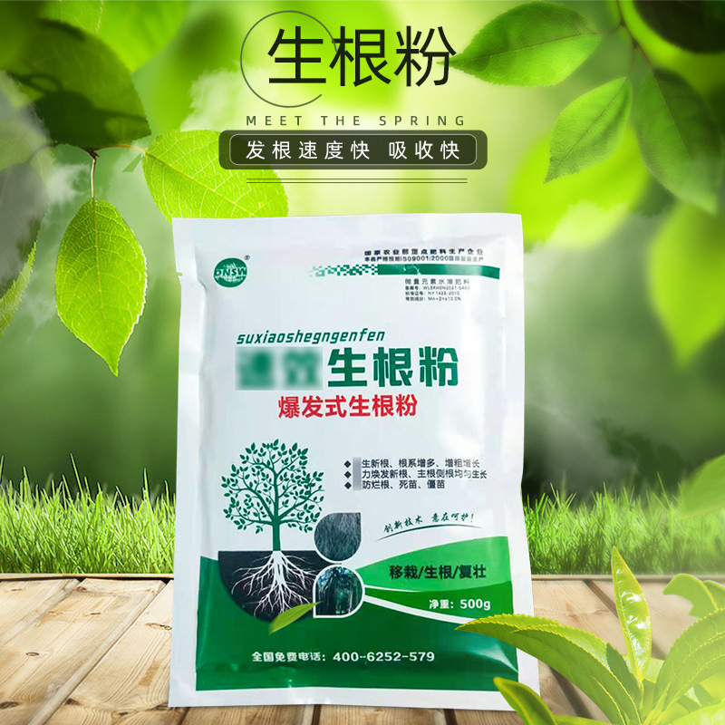 批发销售 500克生根粉 大树植物扦插育苗移栽 生根粉 品质之选