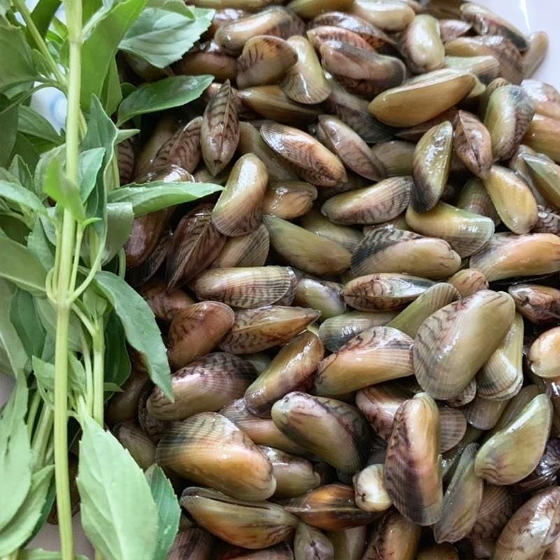 天海福建贝类鲜活红肉