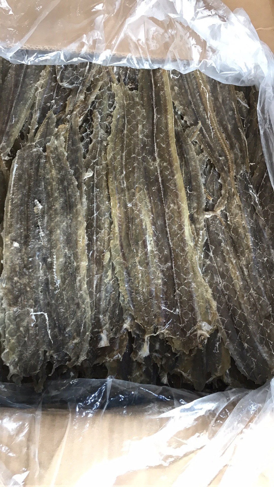 北海特产烧烤鳗鱼干手撕鳗鱼干芥末马步鱼干鳗鱼片500克海鲜批发