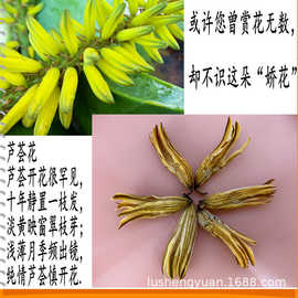 芦荟花草茶