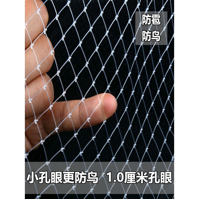 友徽农用果树防鸟网用网护网防鸟线网隔离的丝网防鸟罩小孔菜地围