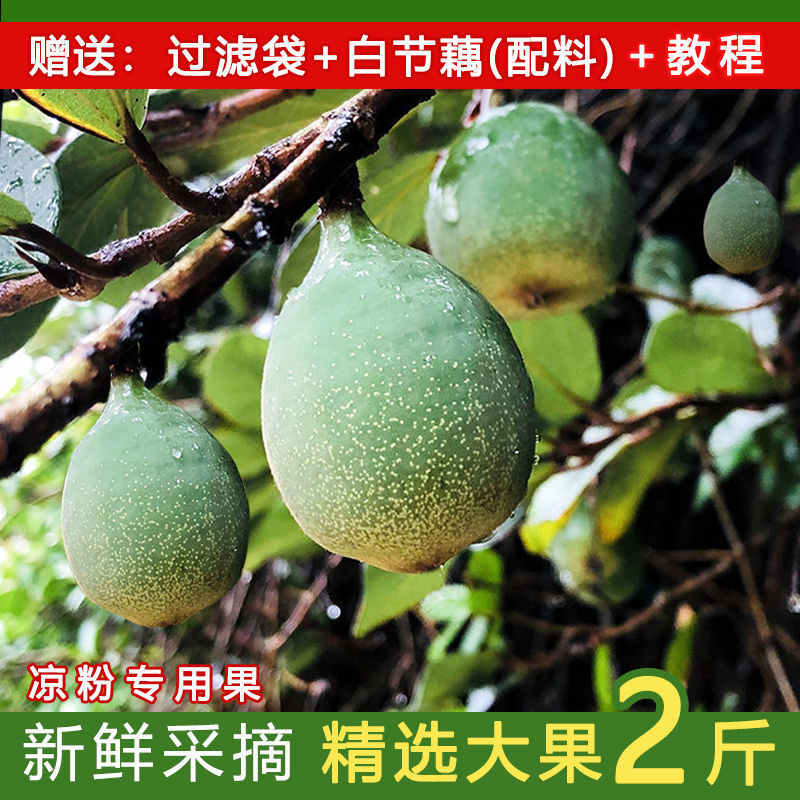 新鲜霹雳果野生木莲豆腐籽凉粉籽爱玉籽手搓冰粉籽石木瓜深山现摘