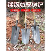 农用工具铲子户外挖土铁锹铁铲锰钢加厚全钢挖树铲树根锹挖坑专用