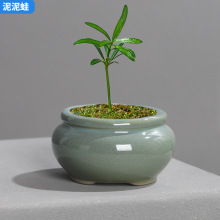 新品微景观盆景花盆陶瓷多肉盆简约桌面苔藓方圆口迷你小号拇指盆