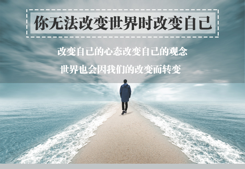 你无法改变世界时改变自己情商修养人生哲学处世智慧心灵鸡汤书籍
