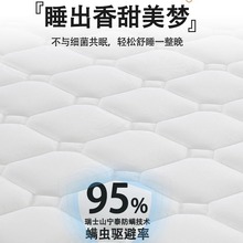 酒店床垫护脊椰棕硬垫出租房宾馆环保3E棕垫民宿榻榻米薄床垫批发