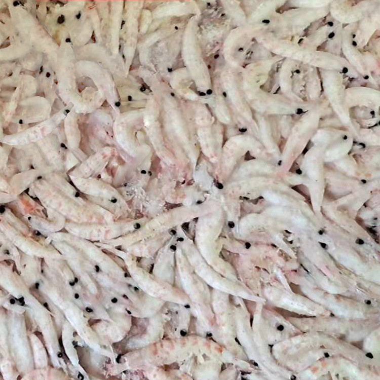 南极磷虾/冰冻南极磷虾/虾干原料/钓鱼饵料/磷虾砖/厂家直供