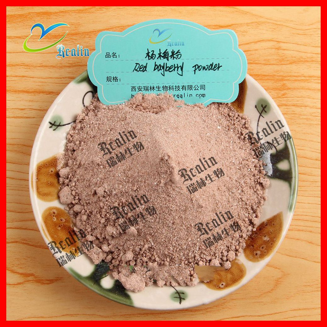 杨梅粉杨梅果粉喷雾干燥杨梅纯粉食品饮料添加现货供应